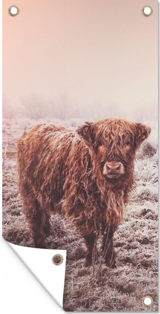 MuchoWow 80x160 cm Outdoor-Poster Gartendeko Sichtschutz Garten Poster für den Garten Schottische Highlander - Schnee - Sonne