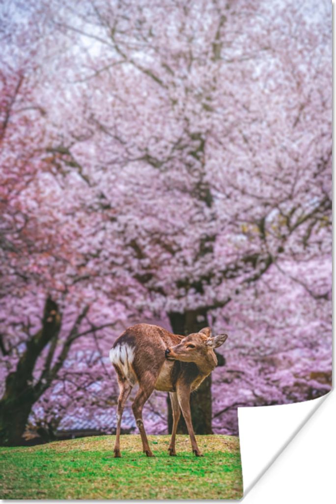 MuchoWow Poster Hirsch - Rosa - Blüte 40x60 cm - Plakate für die Wand - Poster Babyzimmer