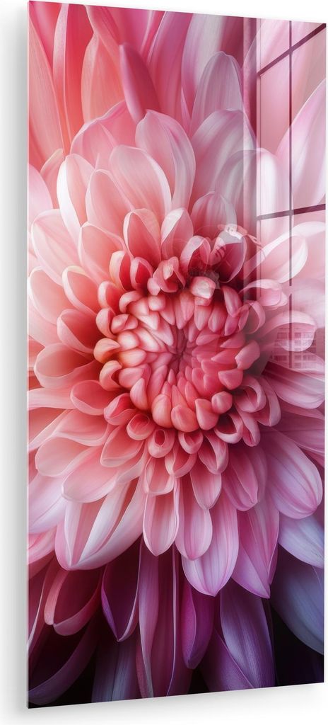 MuchoWow Glasbilder - Bilder auf Wandbild - Foto auf Glas Dahlie - Blume - Nahaufnahme - Rosa 60x120 cm Wanddekoration aus Glas - Acrylglasbild - A...