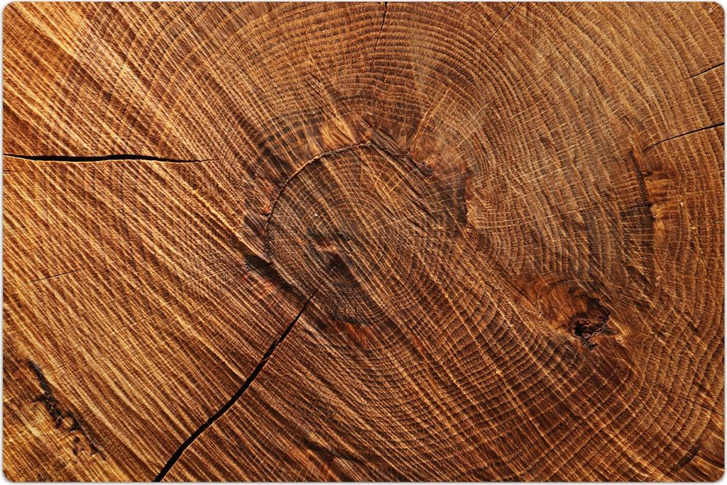 Küchenmatte 80x120 cm Vinylmatte Bodenmatte Dekoration - Holz Stamm