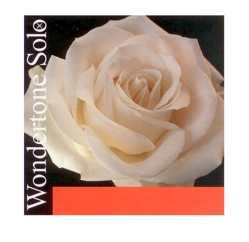 Pirastro Wondertone Solo Violine