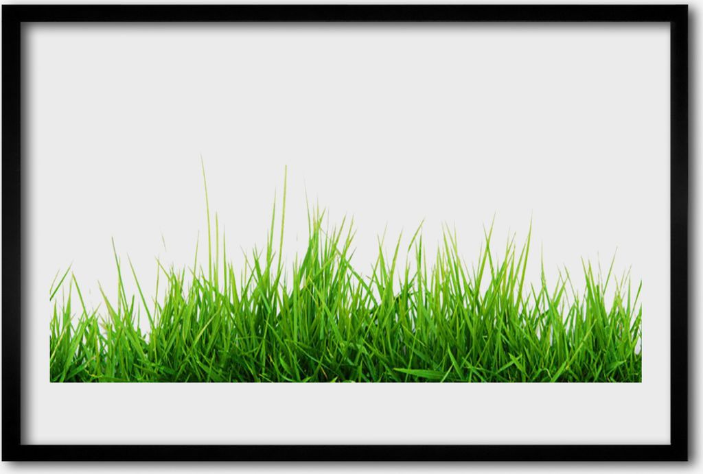 Bild 60x40 MDF-Rahmen Wandkunst Gras Natur Pflanze