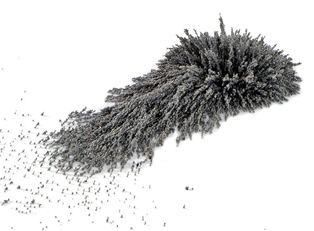 Magnetfeld-Eisenpulver 100g für Magnetfeldexperimente, zum Produktbild 