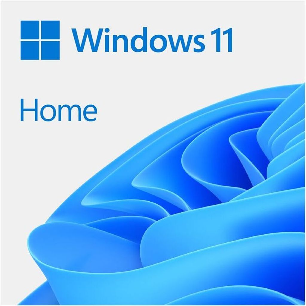 Windows 11 Home 64Bit DSP 1pk DVD tedesco Immagine del prodotto 