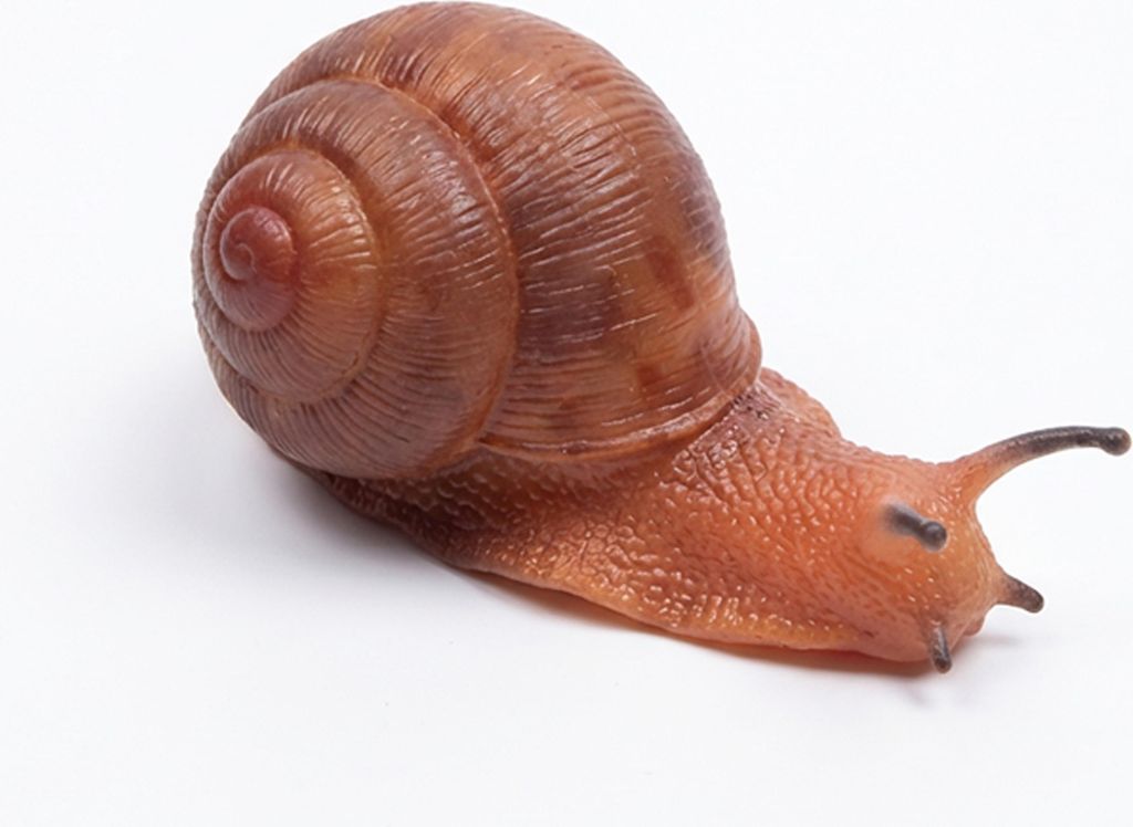 Vite senza fine in gomma 13 cm Immagine del prodotto 