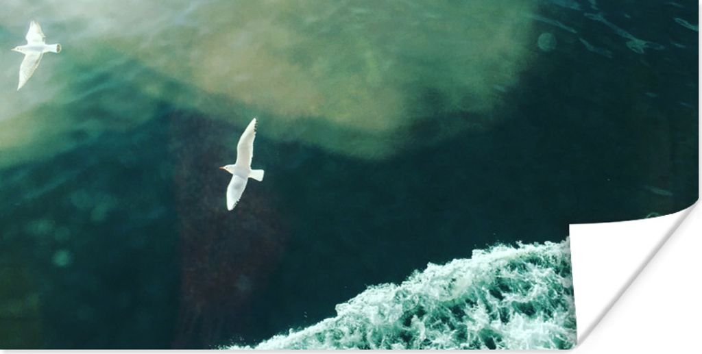 MuchoWow Poster Vogel - Wasser - Berg 120x60 cm - Bild