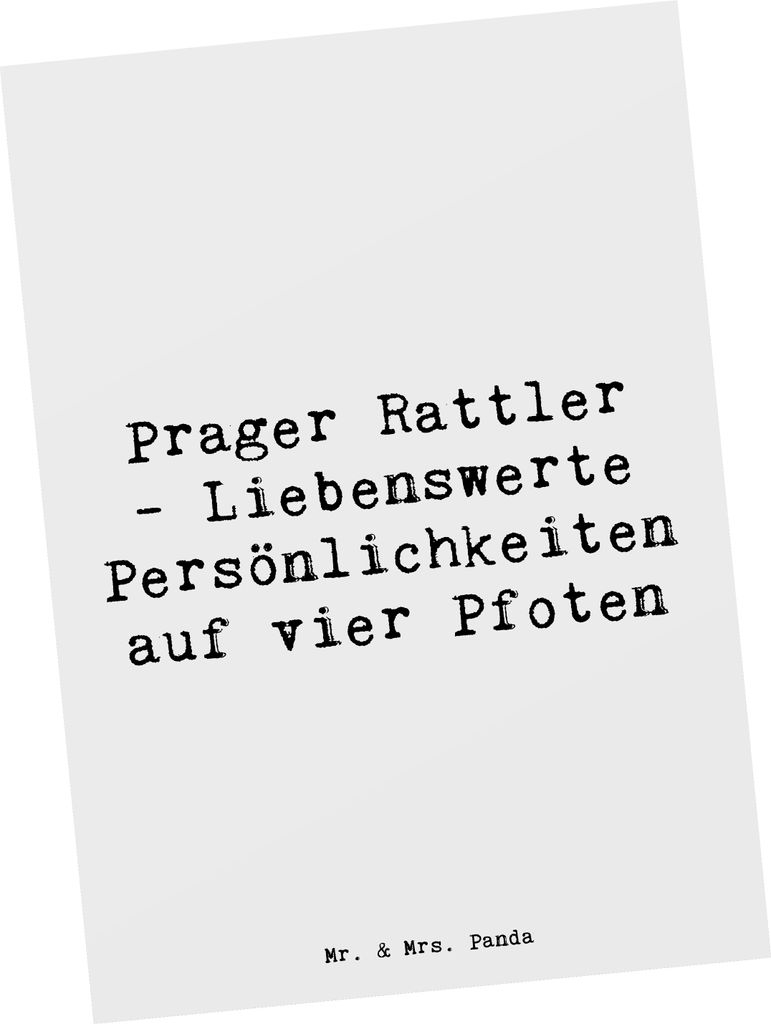 Mr. & Mrs. Panda Postkarte Spruch Prager Rattler - Weiß - Geschenk, besondere Momente, Ansichtskarten, Ansichtskarte, Hundeliebhaber, herzliche Be...