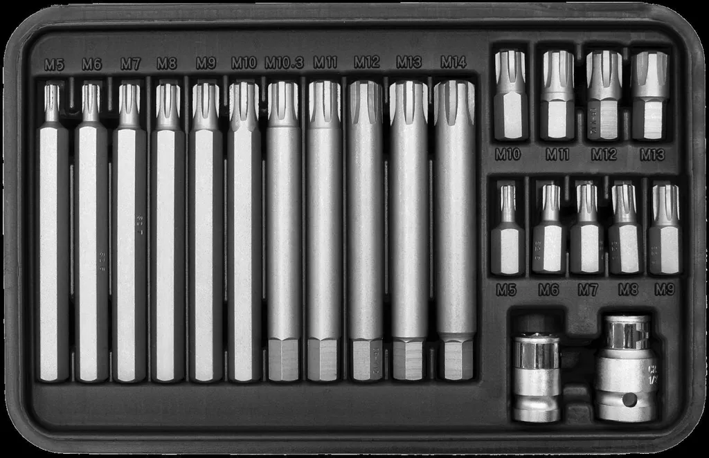 SW-Steel Jeu de Ribe 22 pcs M5-M13 en Acier S2 Haute Résistance 02485L