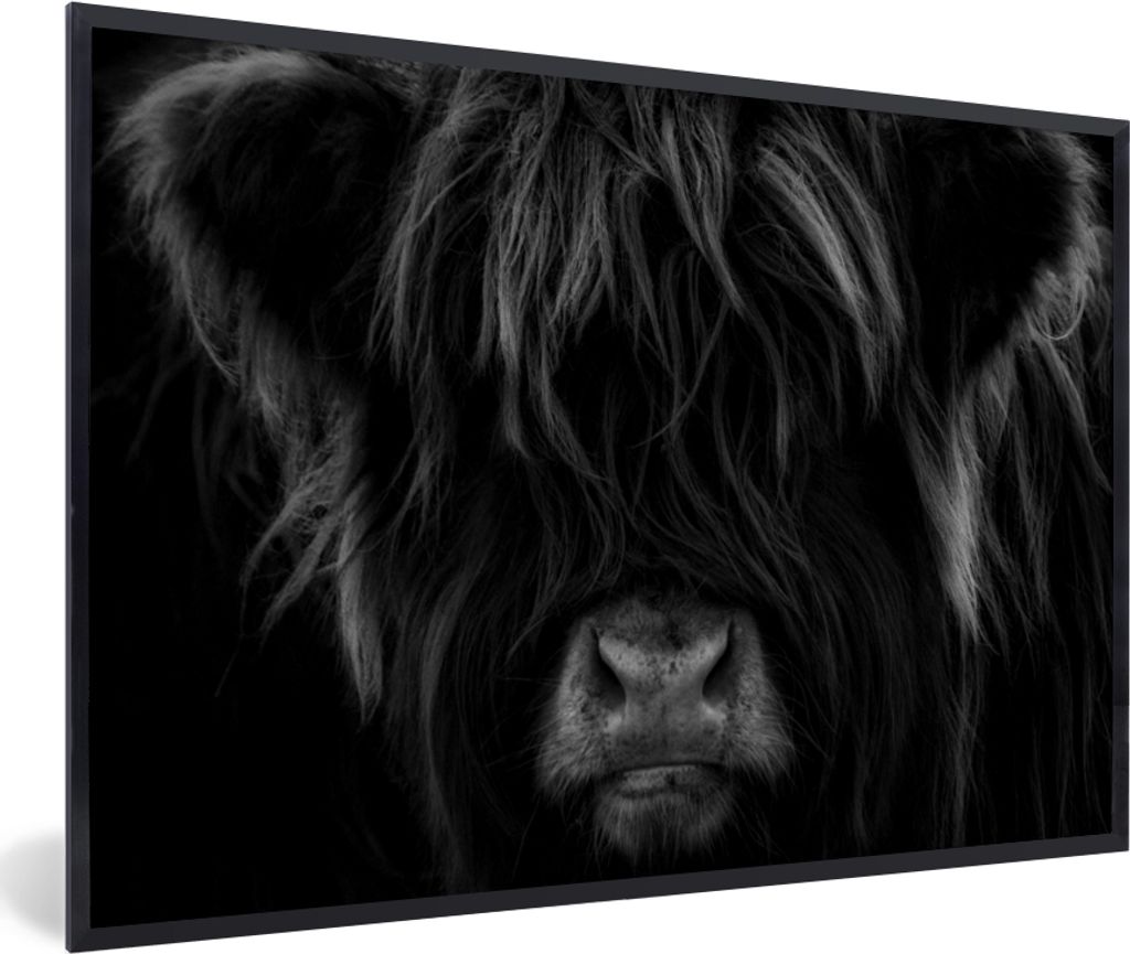 MuchoWow Gerahmtes Poster Schottischer Highlander - Kuh - Porträt - Tiere - Schwarz - Weiß 90x60 cm - Poster mit Schwarzem Bilderrahmen Wandpos...