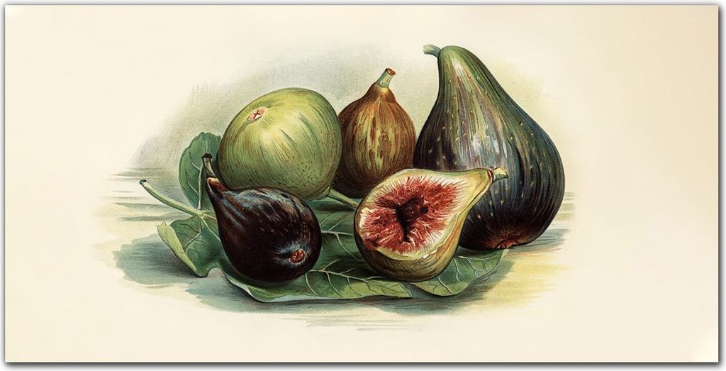 Coloray - Bild aus Glas - Glasbilder - 100 x 50 cm - Gehärtetes Glas Glasblock mit Bild Wohnzimmer Küche Dekoration Wanddekoration - Fruchtblätter