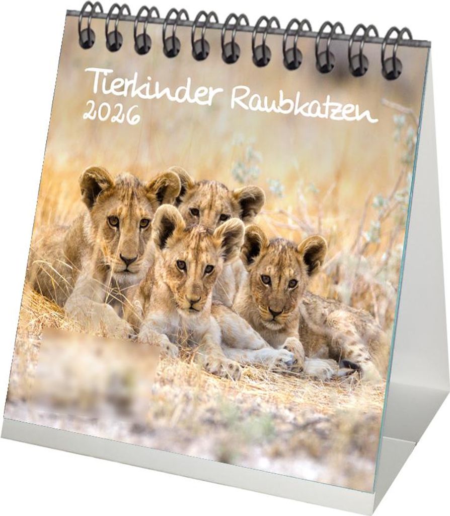 Tierkinder Raubkatzen Tischkalender 10cm x 10cm für 2026 verschiedene Raubkatzen - Seelenzauber