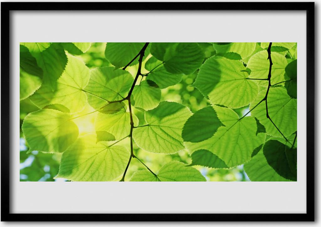 Bild 100x70 MDF-Rahmen Wandkunst Blätter Natur Pflanze