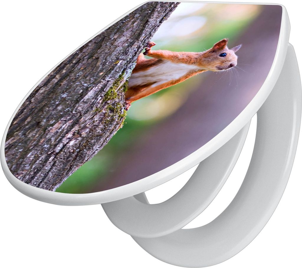 banjado Familien WC Sitz mit Absenkautomatik 37x44,5x5cm -Eichhörnchen - Klodeckel/Klobrille mit kindersitz aus hochwertigem Polypropylen - univer...