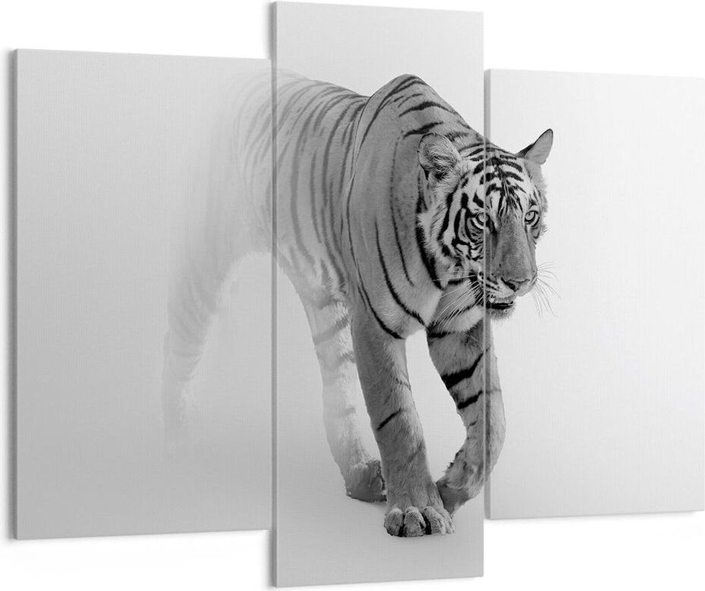 Bild auf Leinwand - Leinwandbild - 3 Teile - Tiger Monochrom Porträt - 130x100cm - Wand Bild - Wanddeko - Wandbilder - Leinwanddruck - Bilder - Wa...