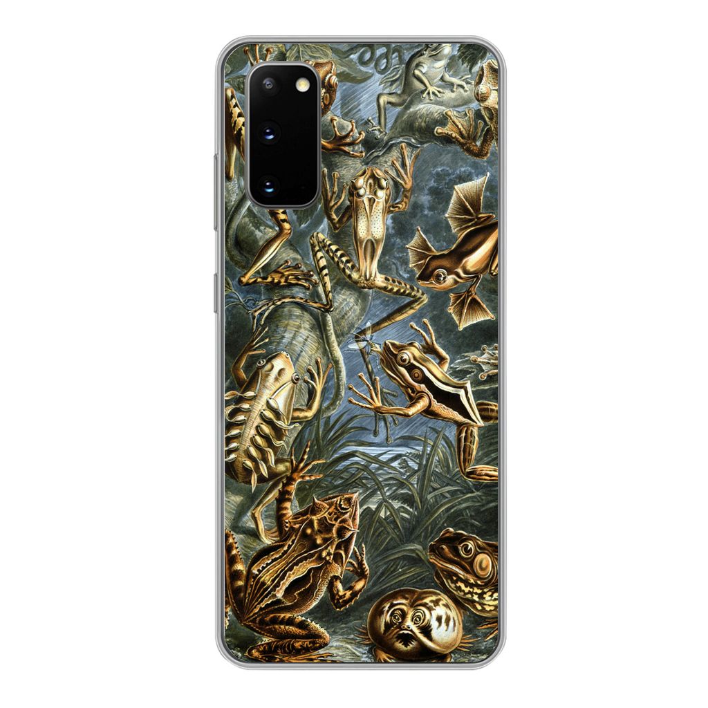 MuchoWow Handyhülle Schutzhülle Hülle für Samsung Galaxy S20 Batrachia - Haeckel - Alte Meister Silikon Softcase Handy Hülle - Bild