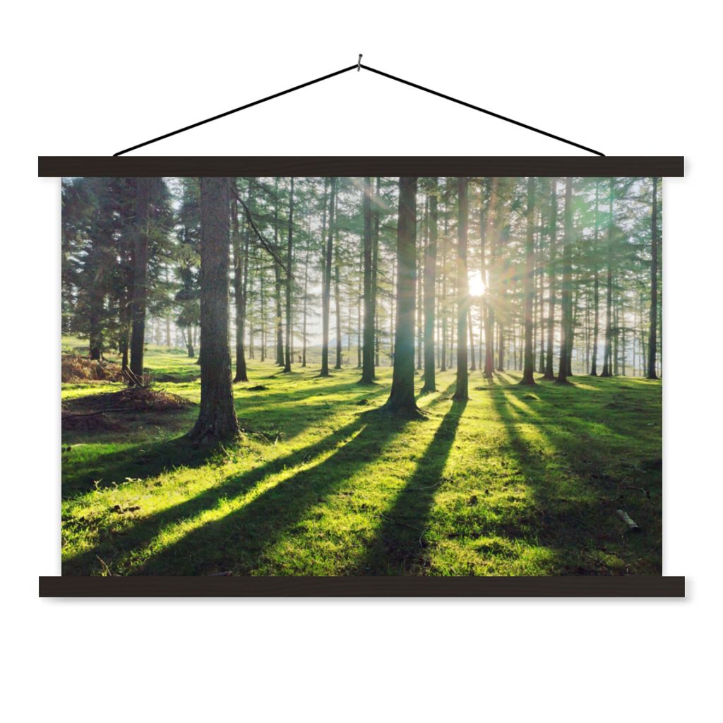 MuchoWow Textilposter Bäume - Natur - Wald 60x40 cm mit schwarzem Rahmen - Hölzernes