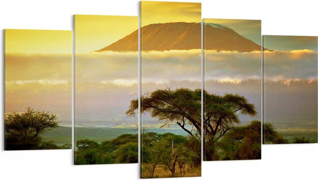 Bild auf Leinwand - Leinwandbild - Safari Tierwelt Berg Produktbild 