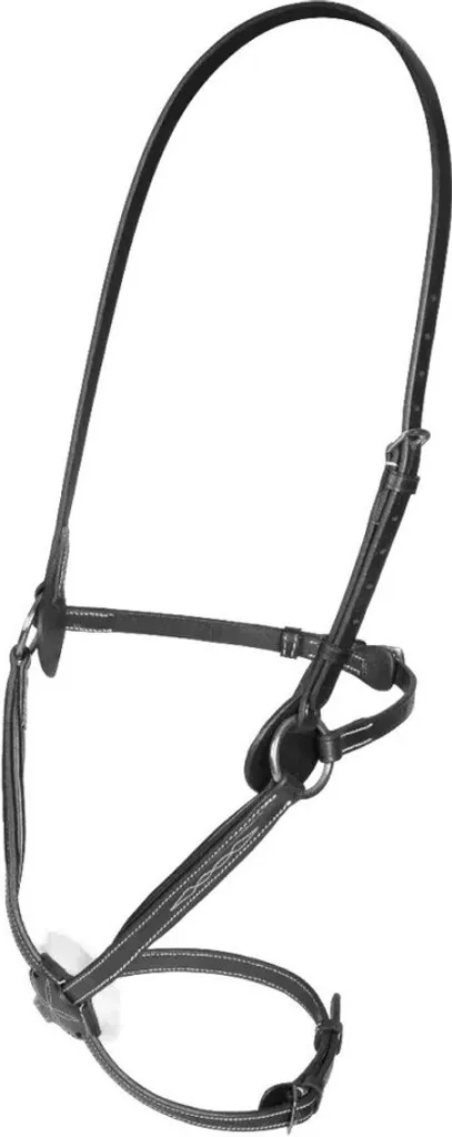 Muserolle Salisbury Brackley cuir noir ER1522 poney pour le dressage