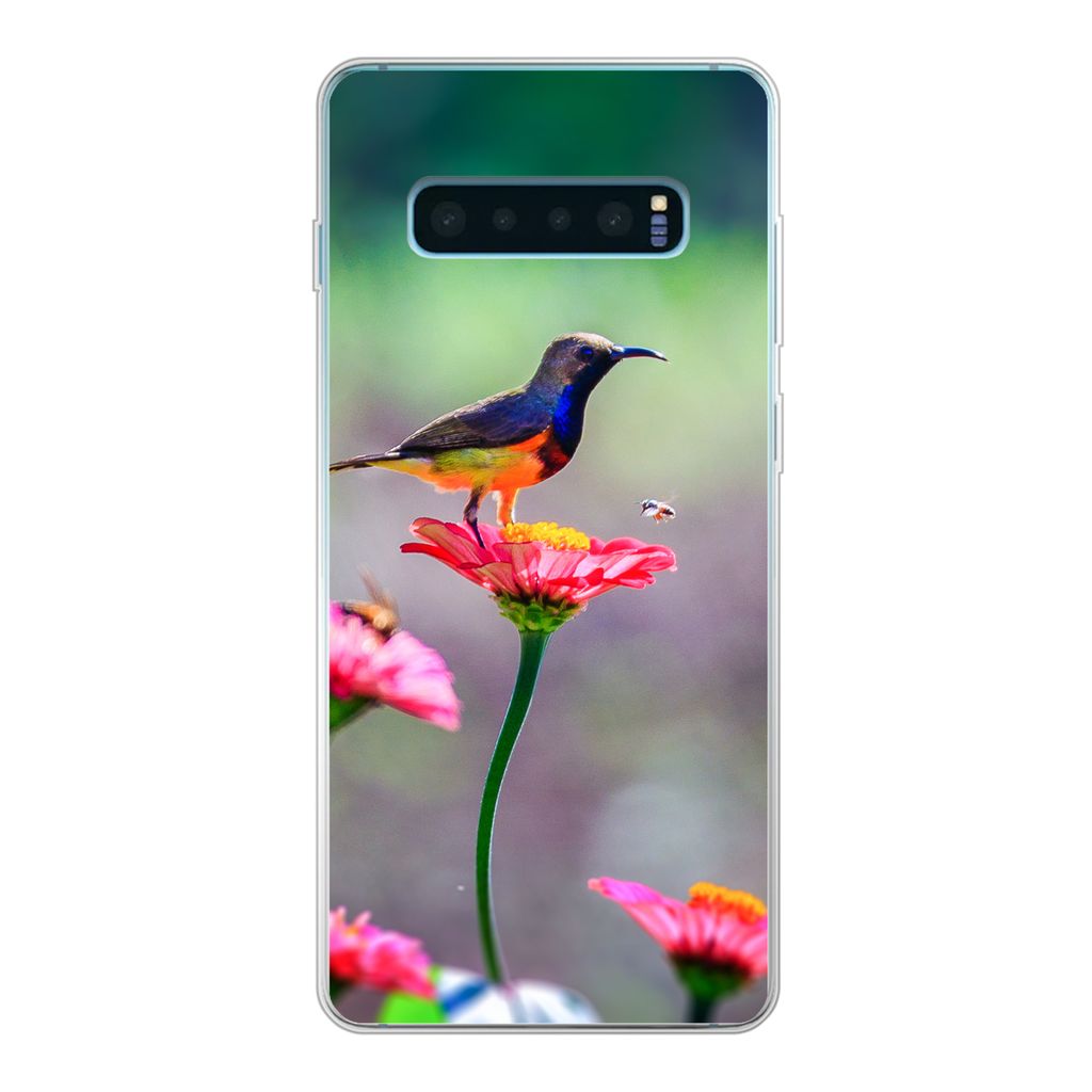 MuchoWow Handyhülle Schutzhülle Hülle für Samsung Galaxy S10 Plus Nahaufnahme eines Kolibris auf rosa Blüten Silikon Softcase Handy Hülle -...