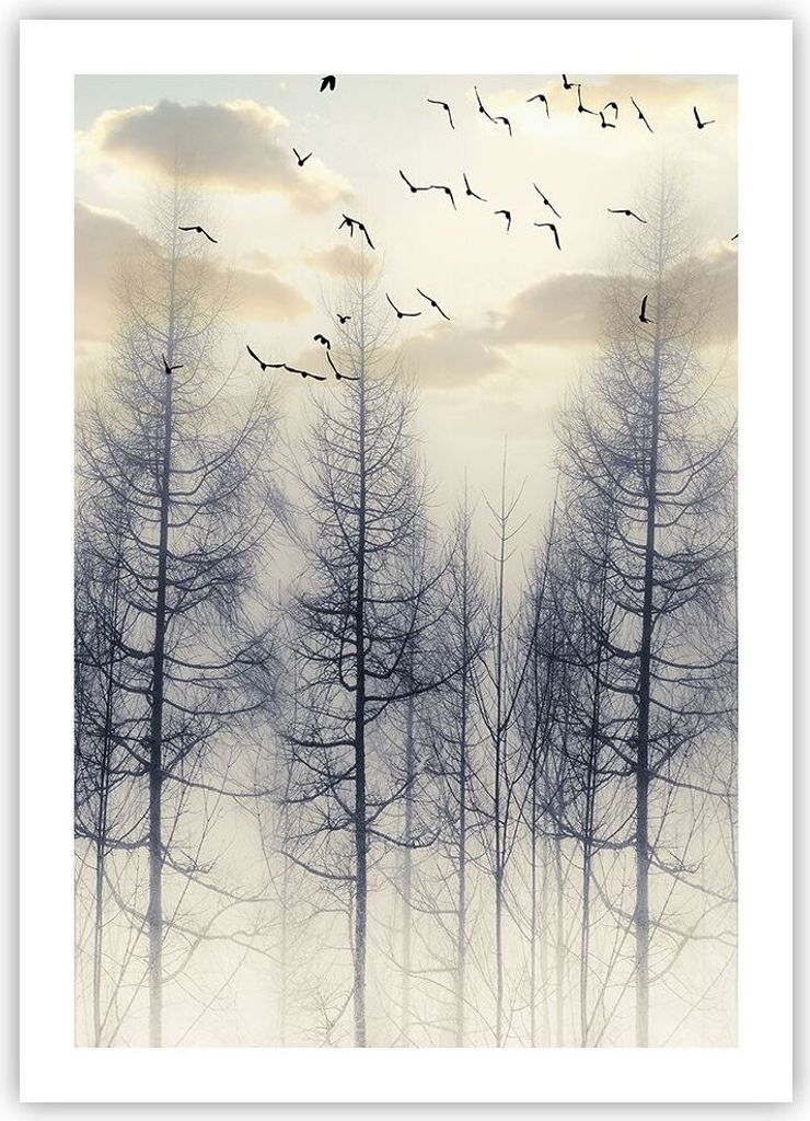 Poster - Poster ohne Rahmen - Bäume Vögel Himmel - 50x70 cm - Wand Bild - Wanddeko - Wandbilder - Kunstposter - Wandposter - Bilder - Kunstdruck ...