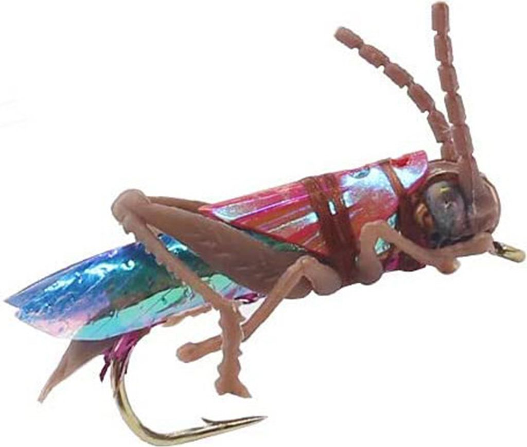 Grasshopper Angelköder Haken Realistische Fliegenfischen Künstliche Köder Angelhaken Bionic Locust Lure Jig Haken Süßwasser Salzwasser Angelzu...