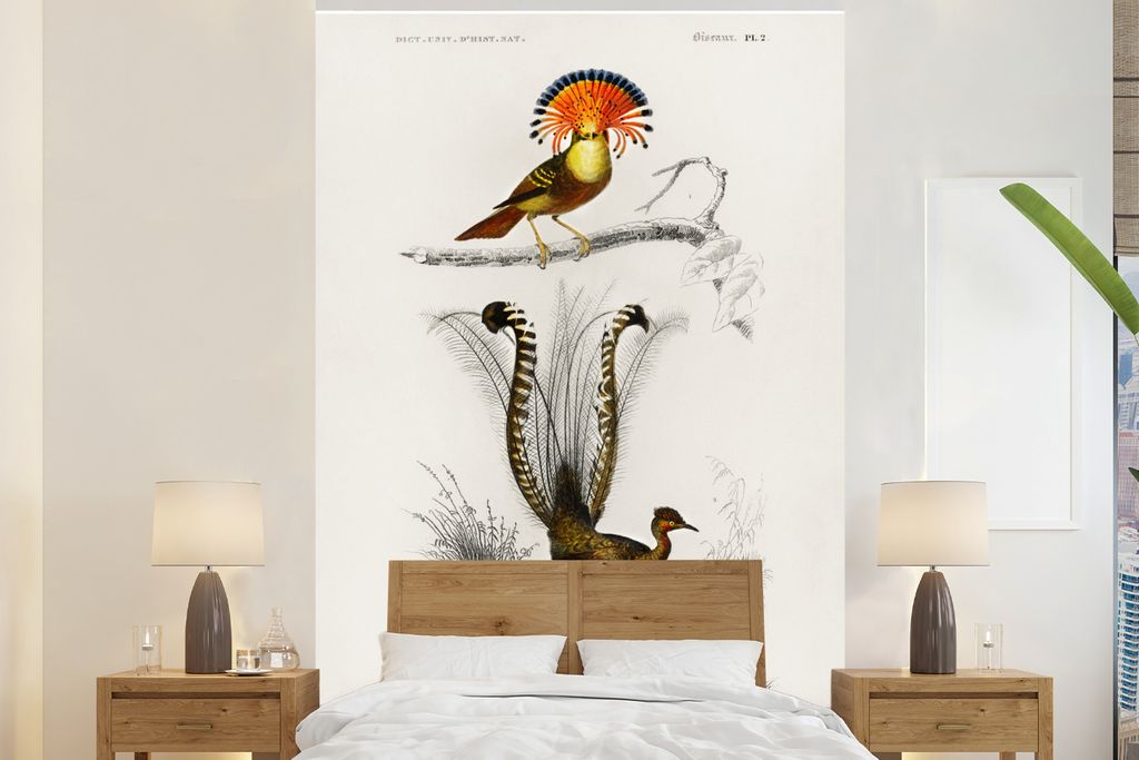 MuchoWow Fototapete für Wohnzimmer oder Schlafzimmer Wandtapete Vinyl Motivtapete Vogel - Vintage - Zweig - 155x240 cm - Tapete