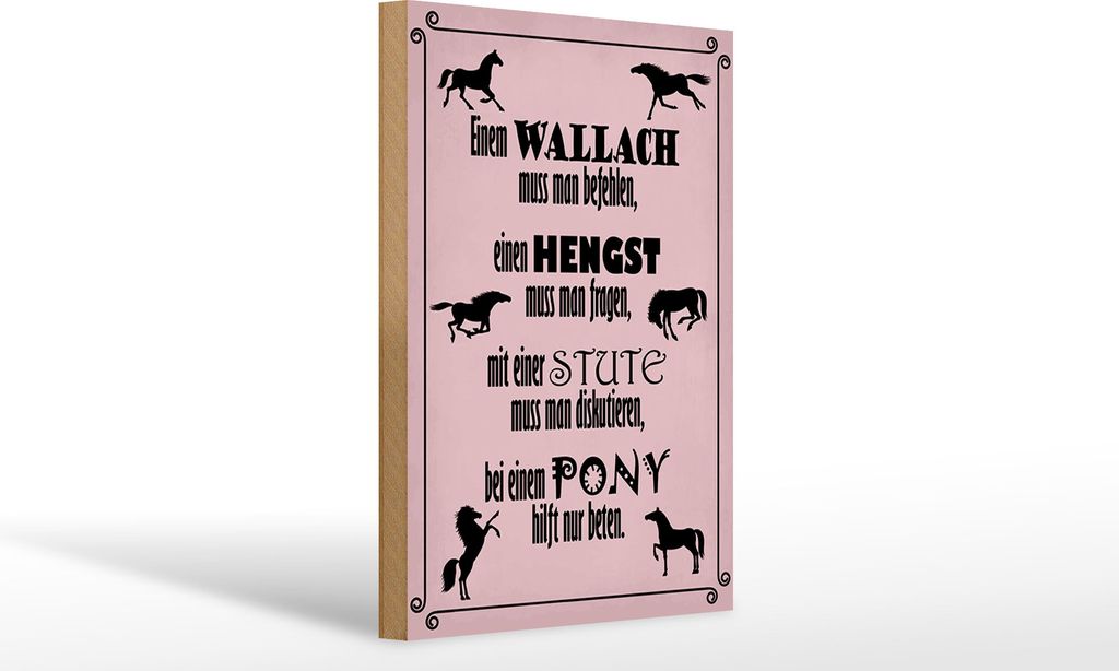 Holzschild Pferde Wallach Hengst Pony Stute, 30 x 20 cm, Holzschilder Pferdefreund Pony