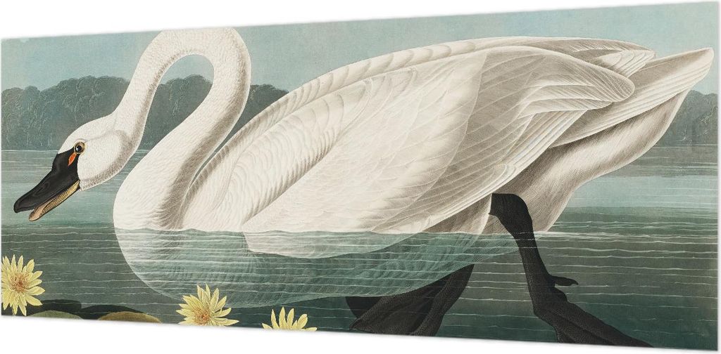 Wandtapete - Dekorative Tapete für Wohnzimmer- Tapetenfolie für Wanddekoration - 208x146 cm - Schwan und Seerosen