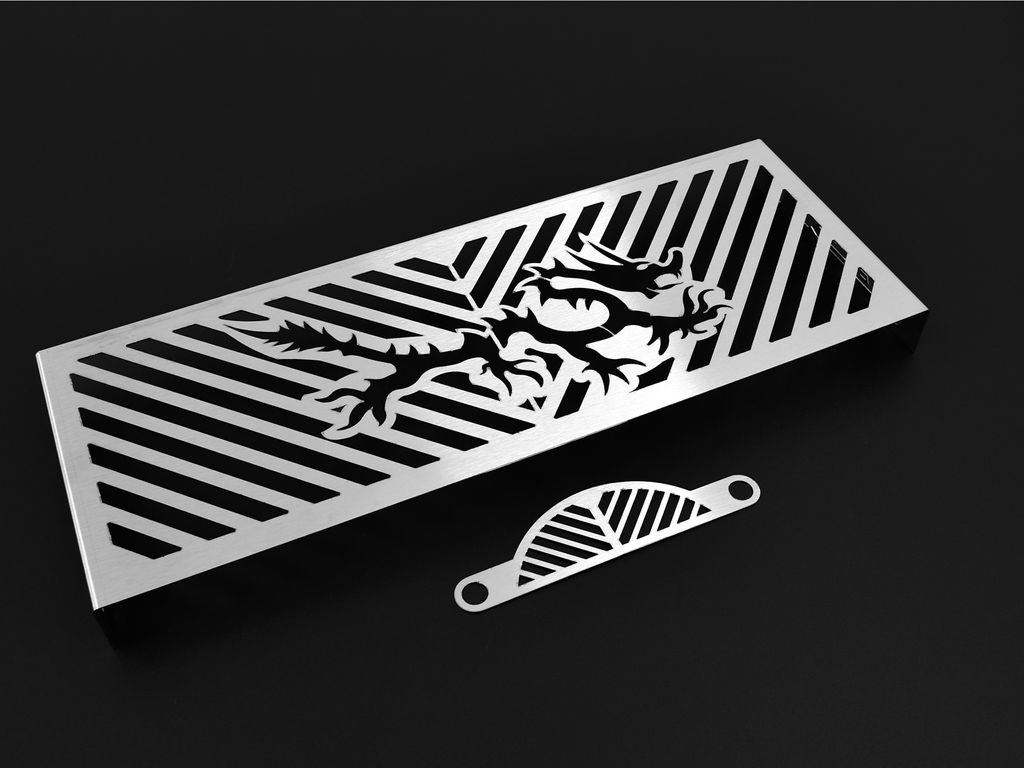 ZIEGER Kühlerabdeckung Für Yamaha FZ1 Fazer - Edelstahl Design Logo Silber