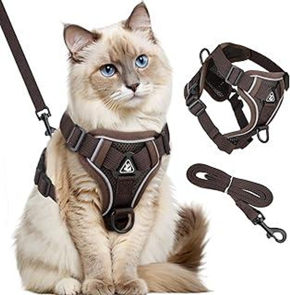 Katzengeschirr mit Leine Ausbruchsicher, Katzenleine mit Geschirr für Katzen Verstellbar Katzen Geschirr Set Cat Harness Softgeschirr für Katze m...