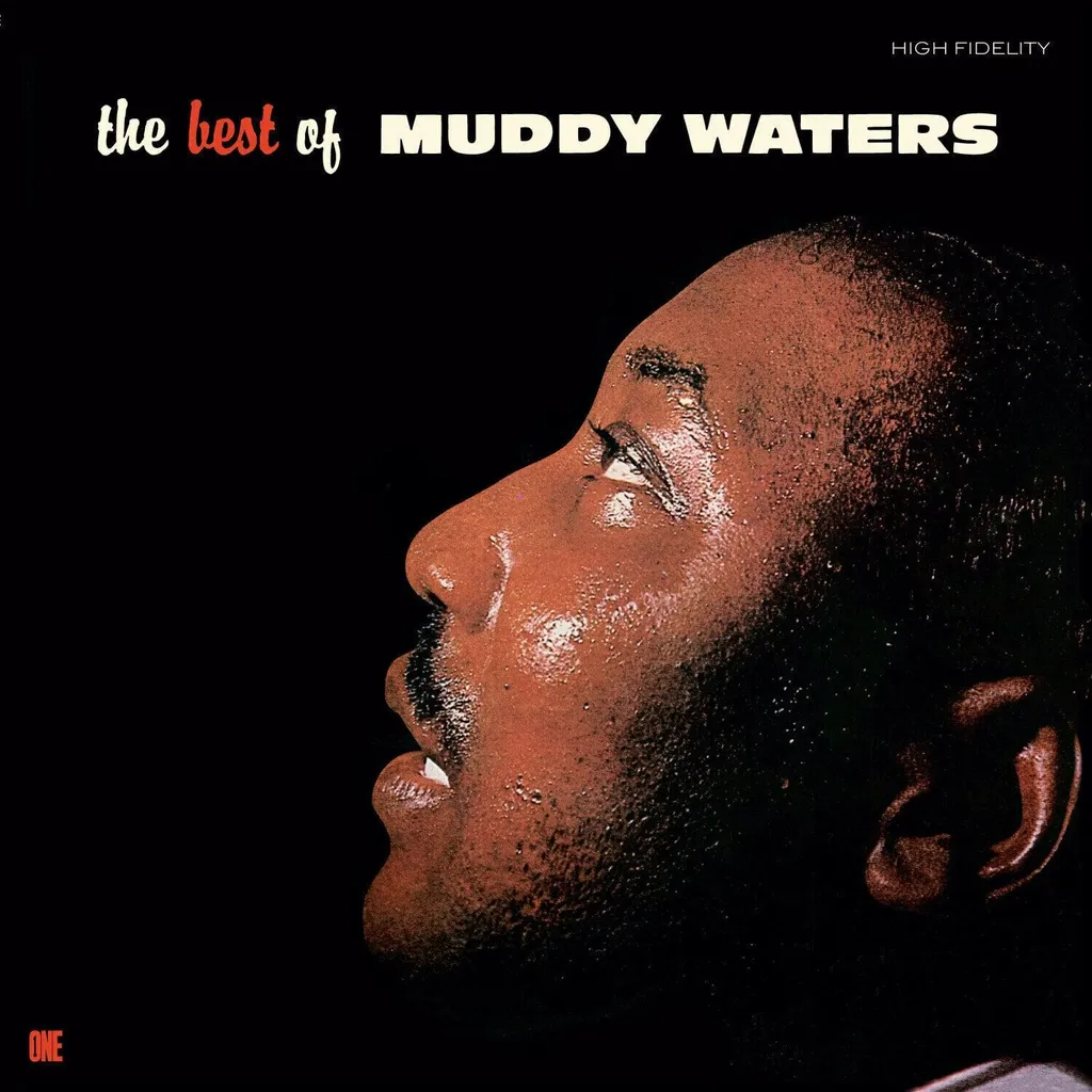 Muddy Waters The Best of Muddy Waters Vinyle 180g Edition Limitée LP