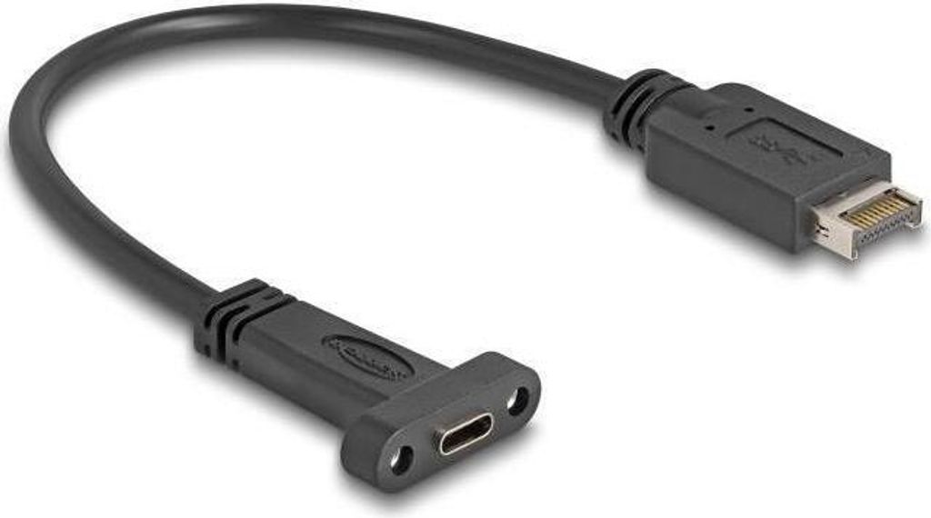 Delock 85454 USB 3.1 E Key A 20 Pin Stecker zu C Buchse Einbau 25 cm