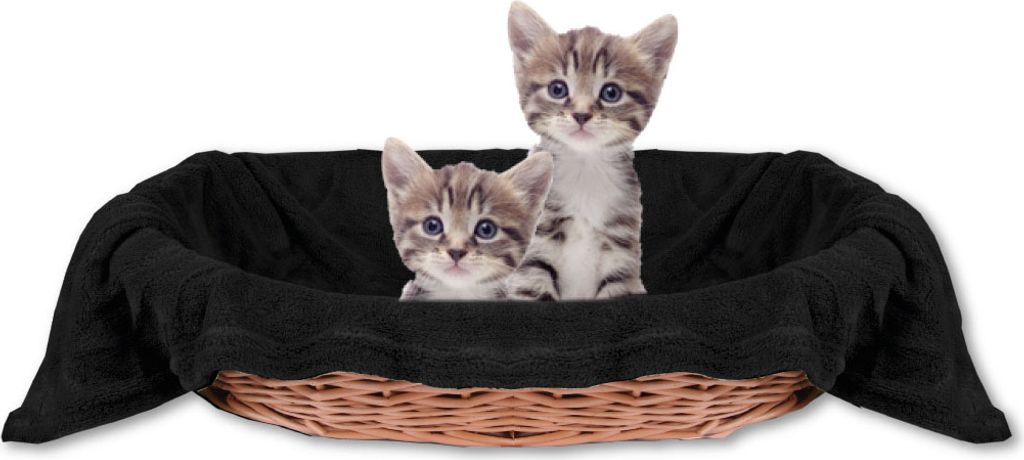 Deka pro kočky - zvířecí deka, rozměry: 70x100 cm, barva: Obrázek produktu 