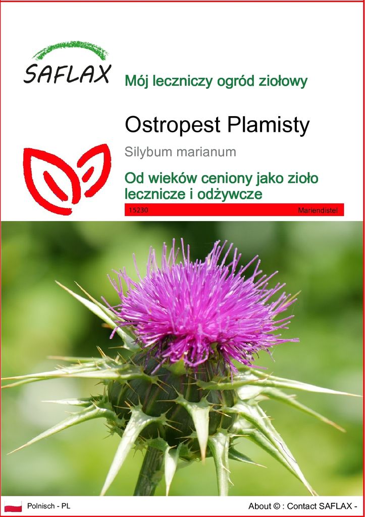 SAFLAX - Ostropest Plamisty - 75 Nasiona - Silybum marianum Zdjęcie produktu 