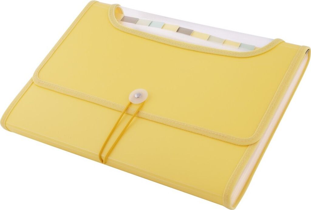 D.RECT 5590 Fächermappe Ordnungsmappe Erweiterbar Tragbar Aktenordner Dokumentenmappen, runder Gummizug mit Verschlussknopf, für Haus, Schule und...