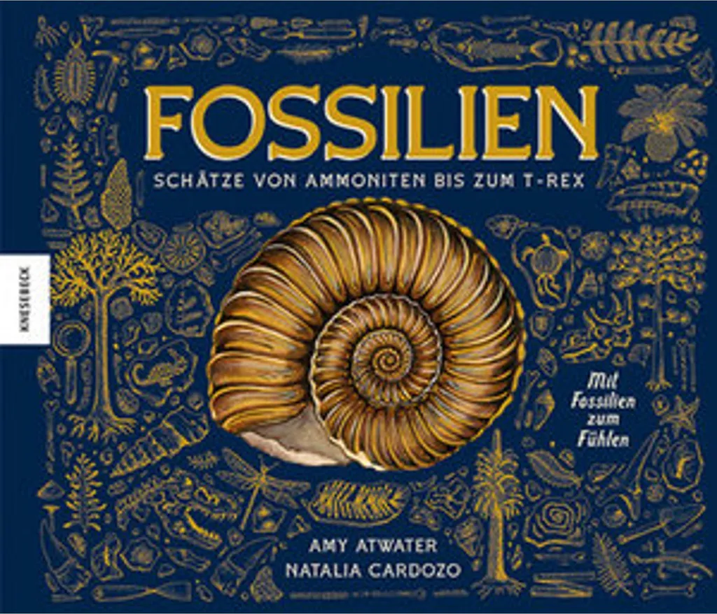 Comprendre les Fossiles : du T-Rex aux Ammonites sans être Expert