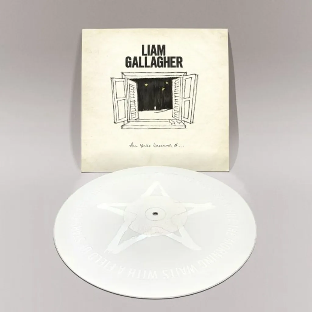 Liam Gallagher Vinyle Noir All You're Dreaming Of Collector Son Premium
