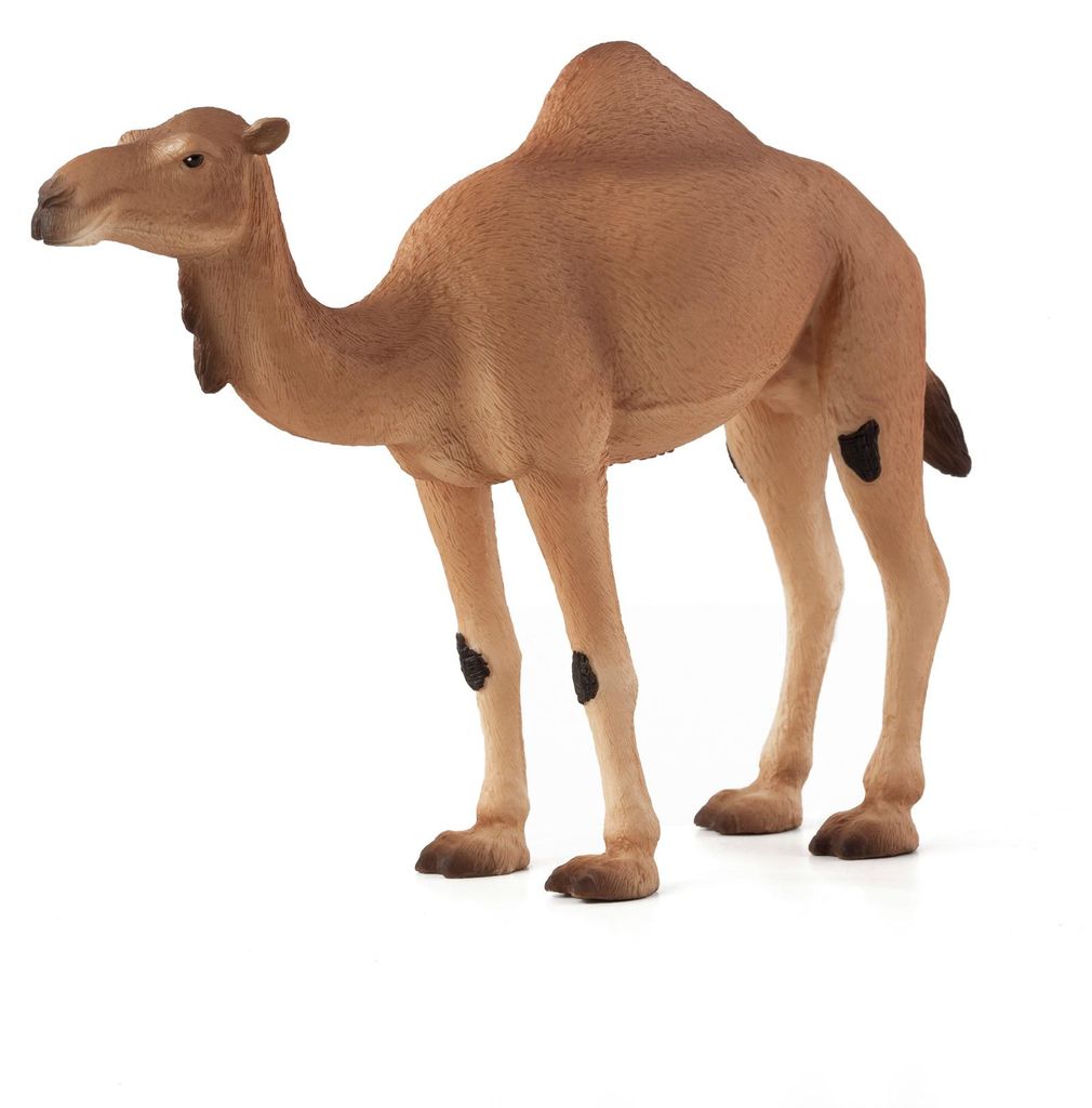 Legler Animal Planet Dromedar, Jouet, dès 3 ans, 387113 Image du produit 