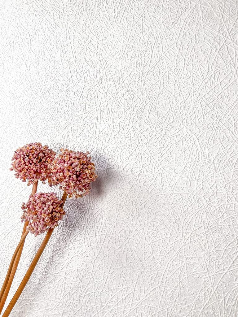 Tapete Unitapete Weiß Uni Modern Überstreichbar Einfarbig Struktur Edler Putz