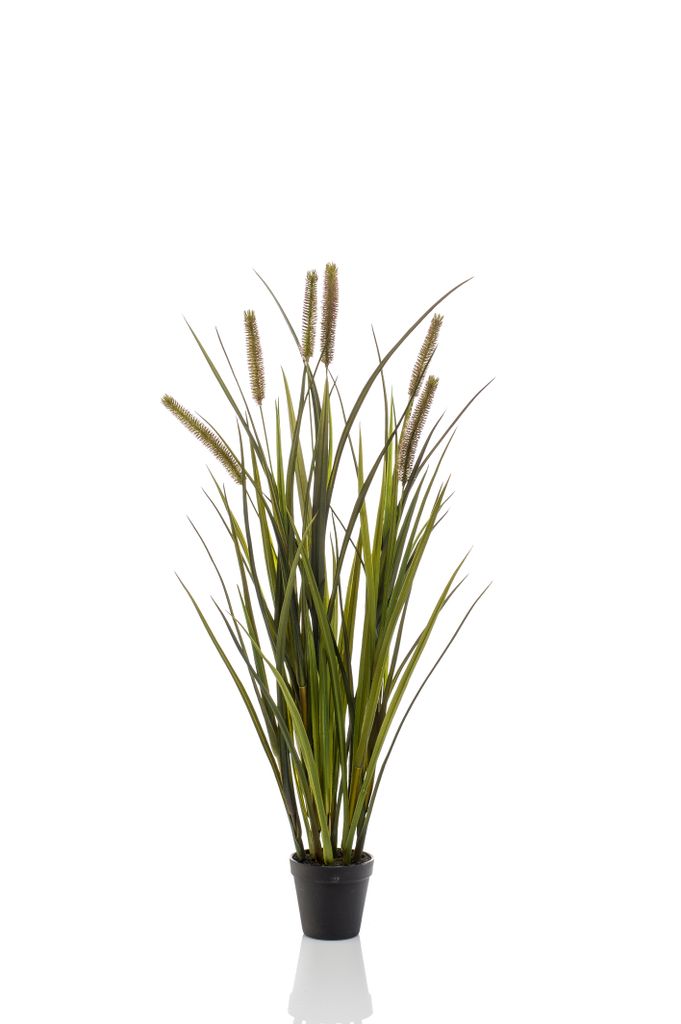 Emerald Künstliche Cattailsgras 85 cm Topf