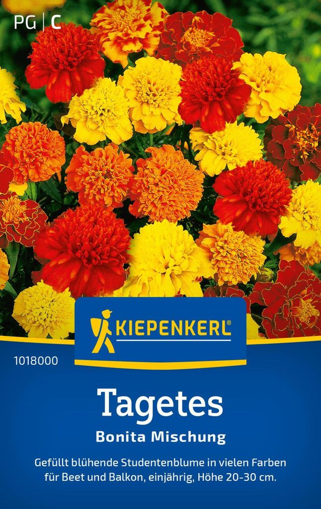 Kiepenkerl Tagetessamen Bonita 50 Pflanzen Produktbild 