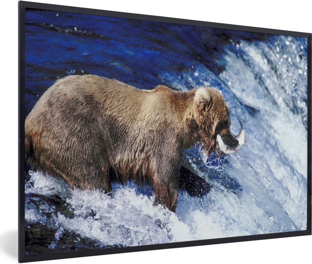 MuchoWow MuchoWow Gerahmtes Poster Bär - Fisch - Wasserfall 30x20 cm - Poster mit zchwarzem Bilderrahmen - Kunstdruck - Bild-Poster