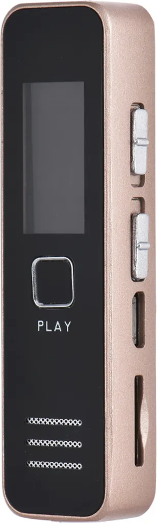 Registratore Vocale per Lezioni SK-007 Oro | Mini U-Disc 20 Ore Audio