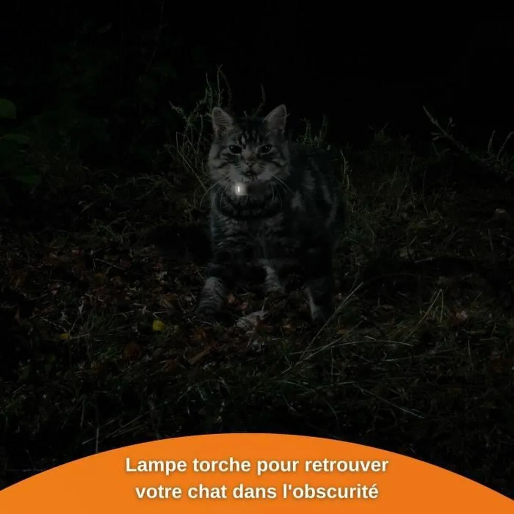 Localiser mon Chat avec Weenect XS : GPS Anti-perte sans Limite Blanc