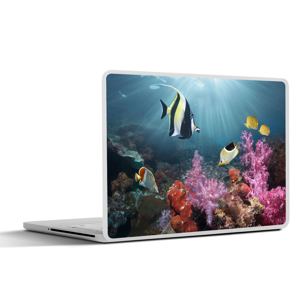 MuchoWow Laptop Aufkleber Sticker Cover Bunte Koralle 31x22.5 cm - Laptop-Deko
