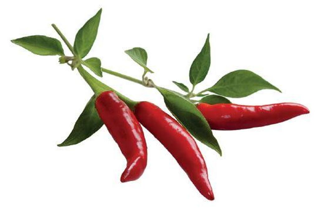 Peperoncino EMSA Click & Grow Immagine del prodotto 