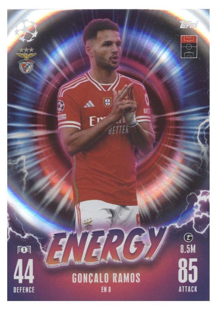 EN 8 - Goncalo Ramos - Energy - 2023/2024