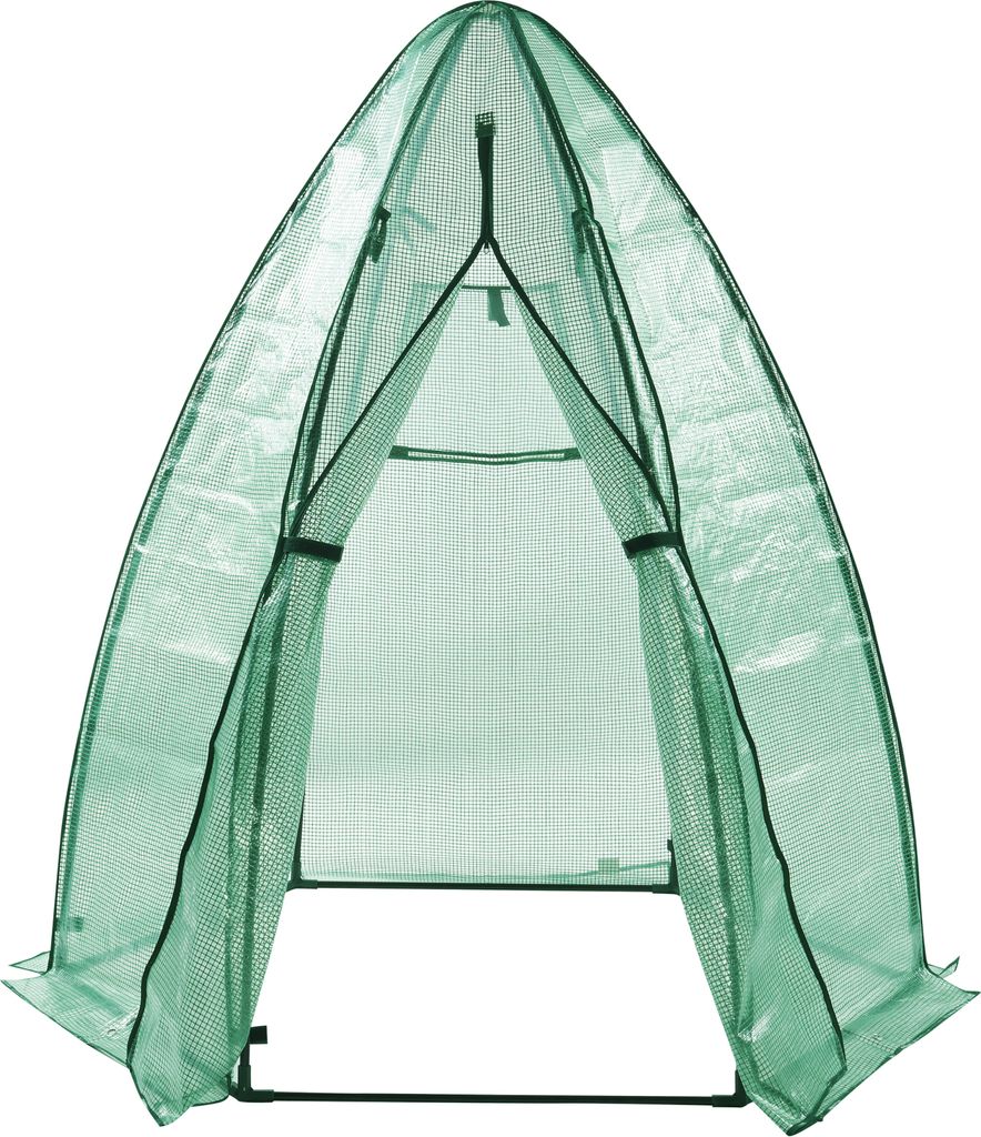 A green greenhouse with an open entrance.