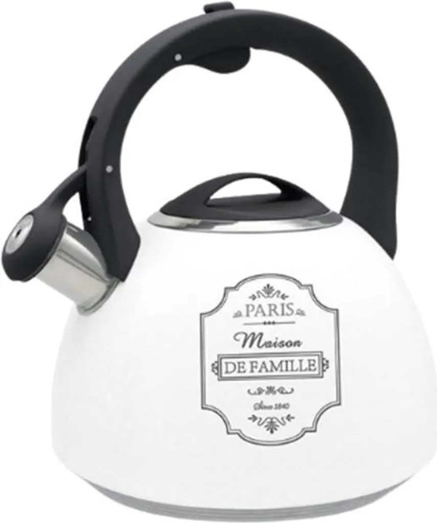 Bouilloire induction 2,5 litres PARIS MAISON idéale pour thé et infusions