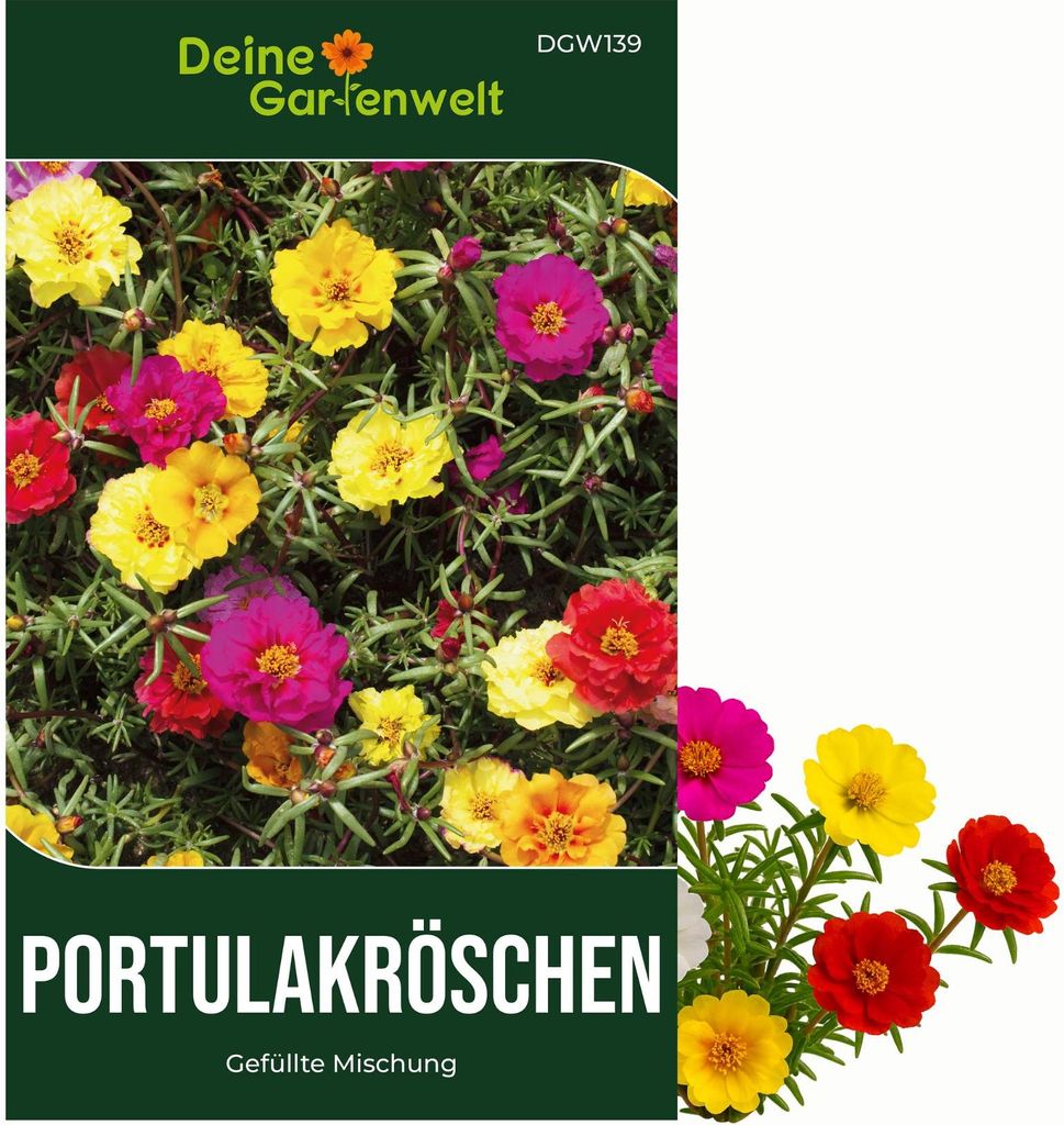 Portulakröschen Gefüllte Mischung Samen - Portulaca Produktbild 